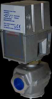 Picture of HWA10AB 2"  110VAC GAS VALVE CL-1