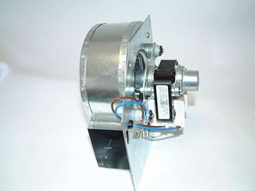 Picture of 409568 FAN & MOTOR ASSY N/HEAT